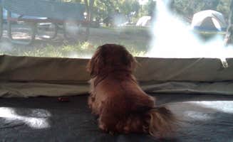 Bj T.'s photo of camping with pets at Prairie Clover Campground — Clinton State Park near Tonganoxie, KS