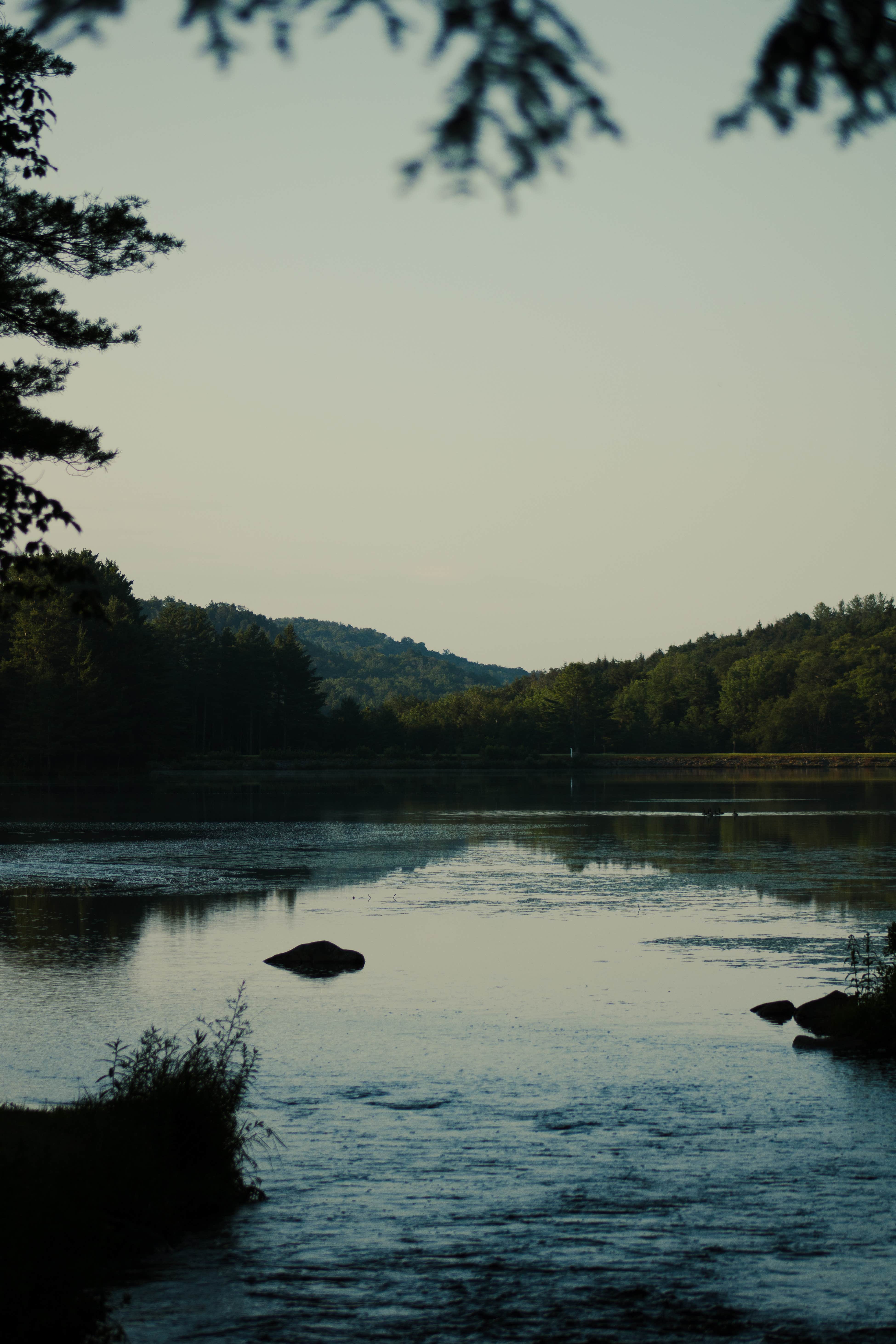 Camper submitted image from Cherry Plain State Park Campground - 3