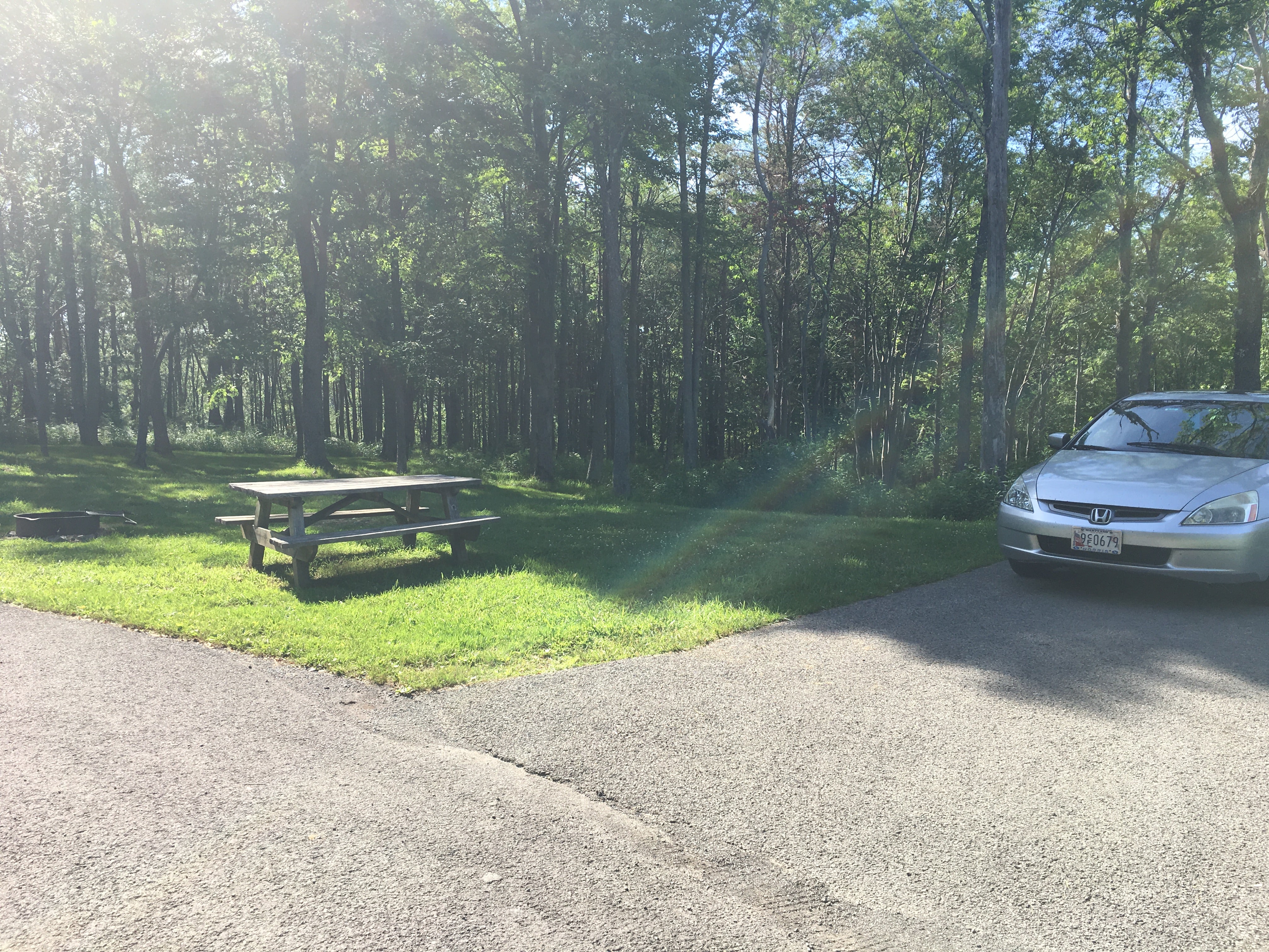 Camper submitted image from Blackwater Falls State Park Campground - 4