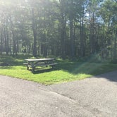 Review photo of Blackwater Falls State Park Campground by Danny W., June 15, 2018