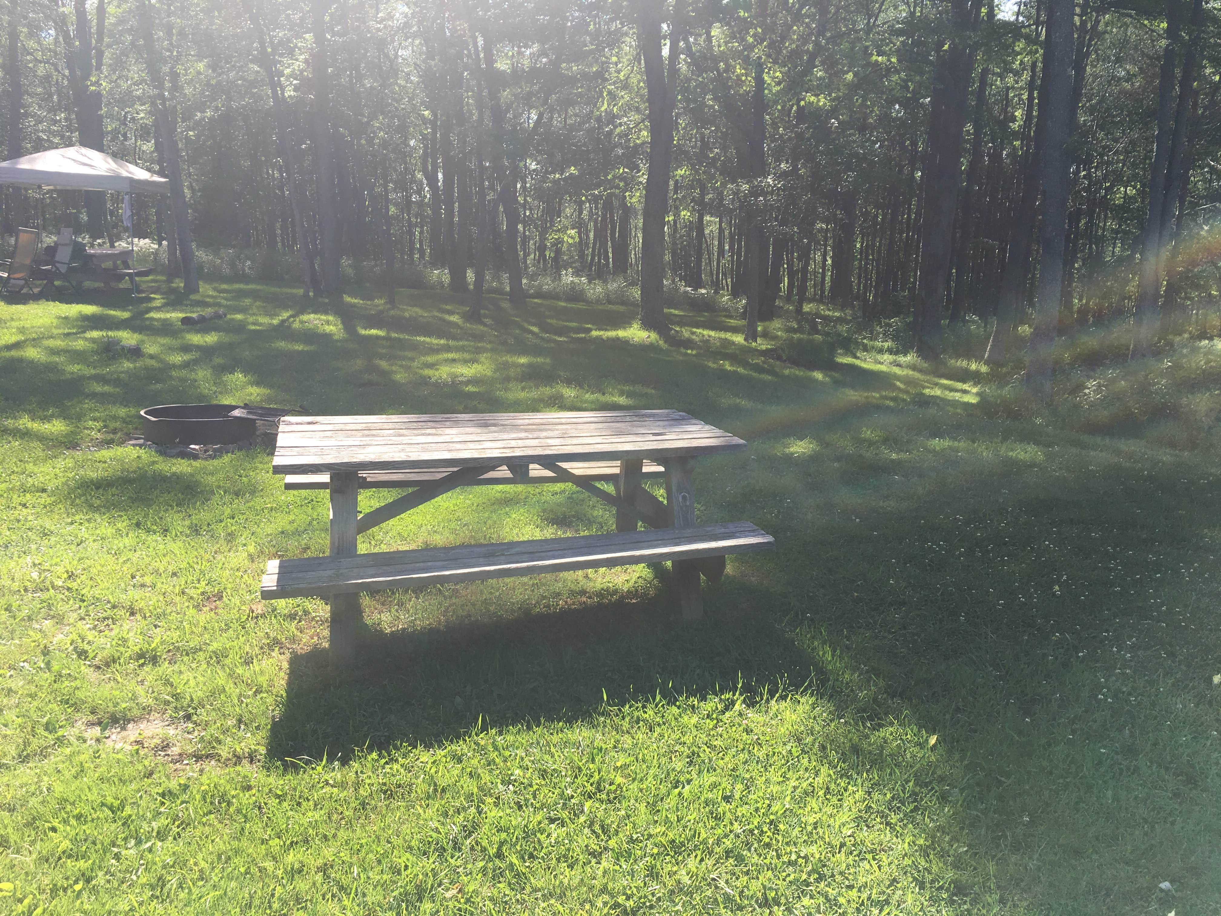 Camper submitted image from Blackwater Falls State Park Campground - 3