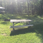 Review photo of Blackwater Falls State Park Campground by Danny W., June 15, 2018