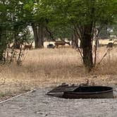 Review photo of Three Island Crossing State Park Campground by Bob  K., July 24, 2021