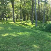 Review photo of Blackwater Falls State Park Campground by Danny W., June 15, 2018