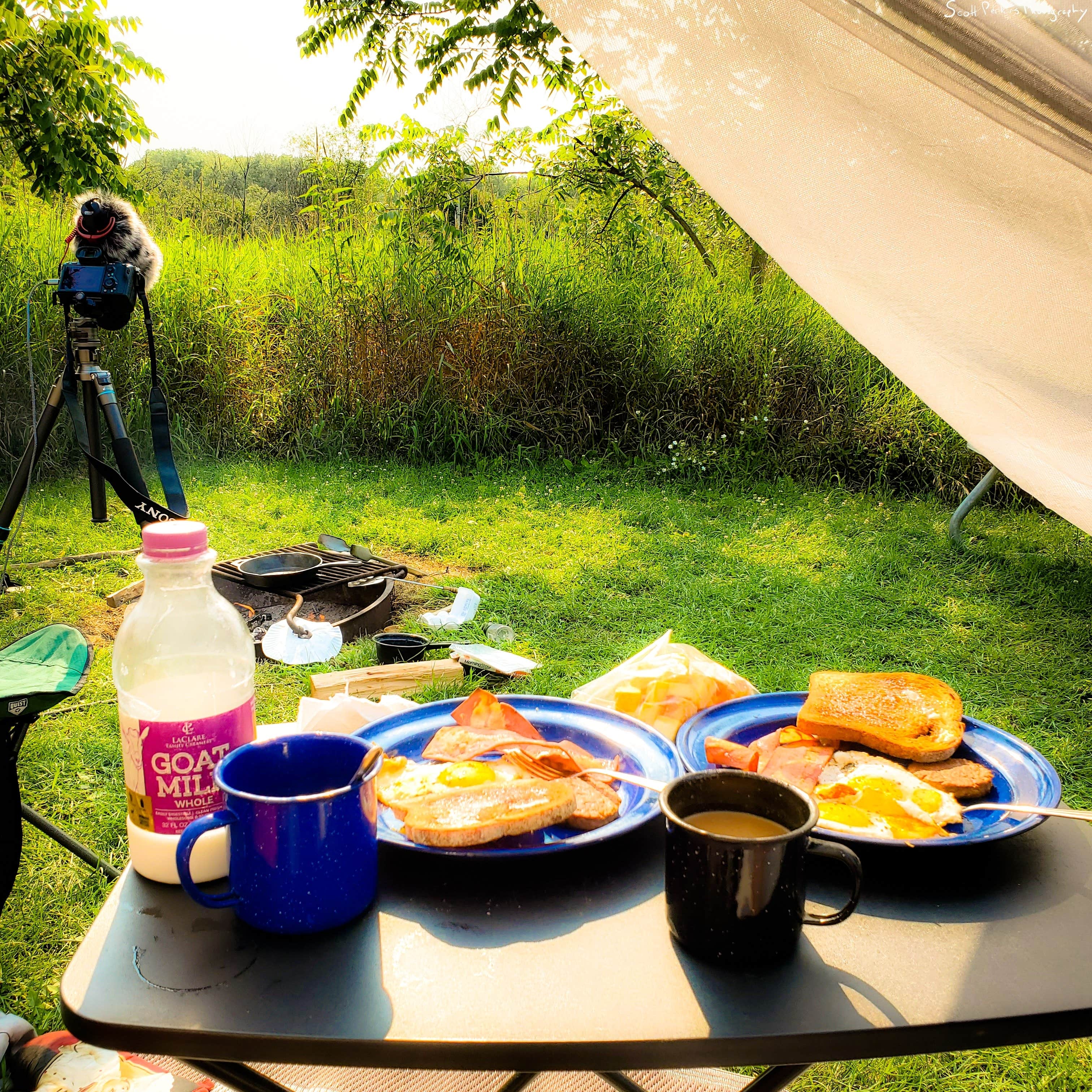 Camper submitted image from Token Creek County Park - 2