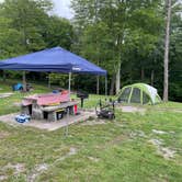 Review photo of Fall Creek Falls State Park Campground by Tyler H., July 24, 2021