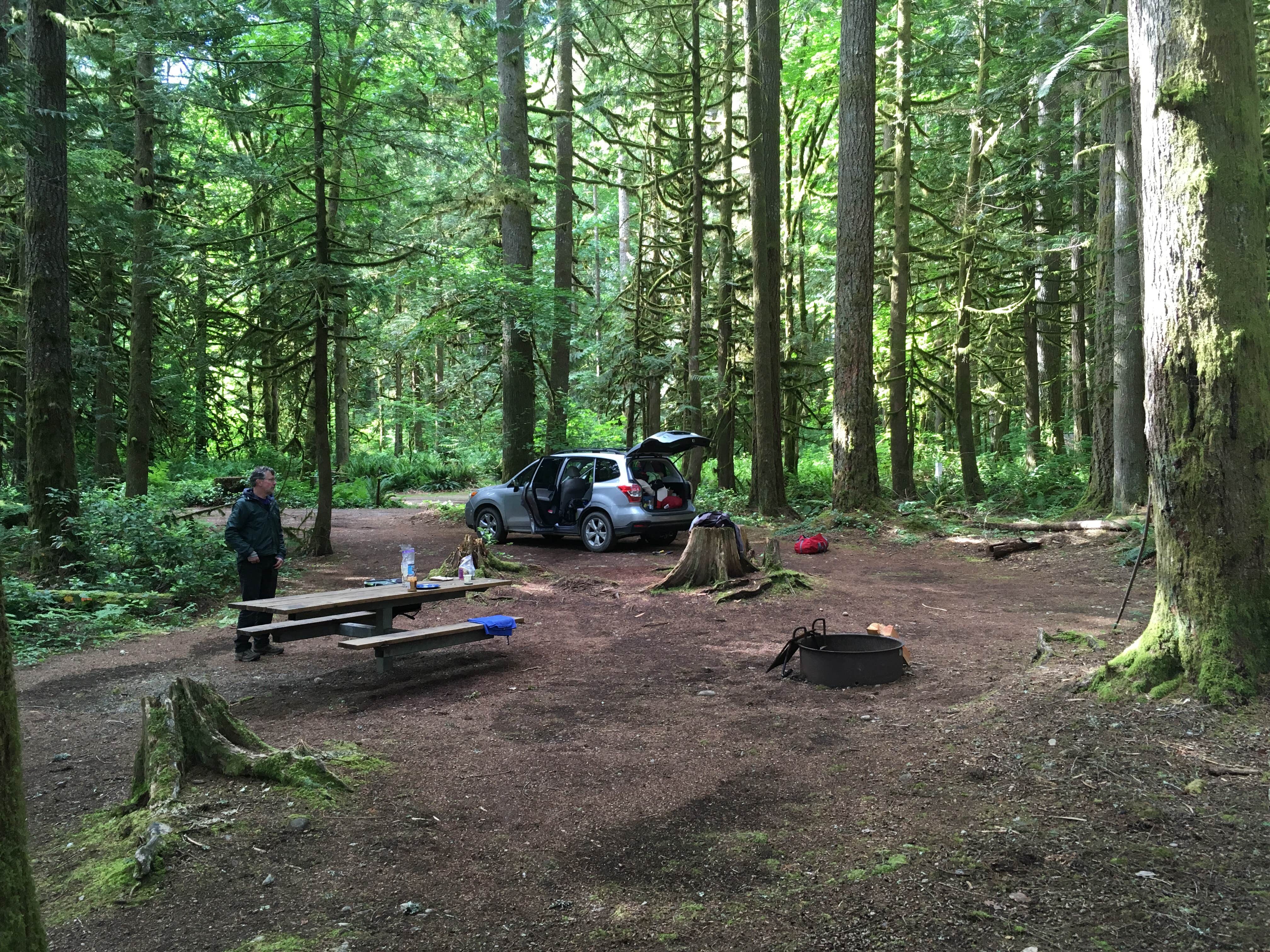 gloria F.'s photo at Squire Creek Park & Campground near Mt. Baker-Snoqualmie National Forest