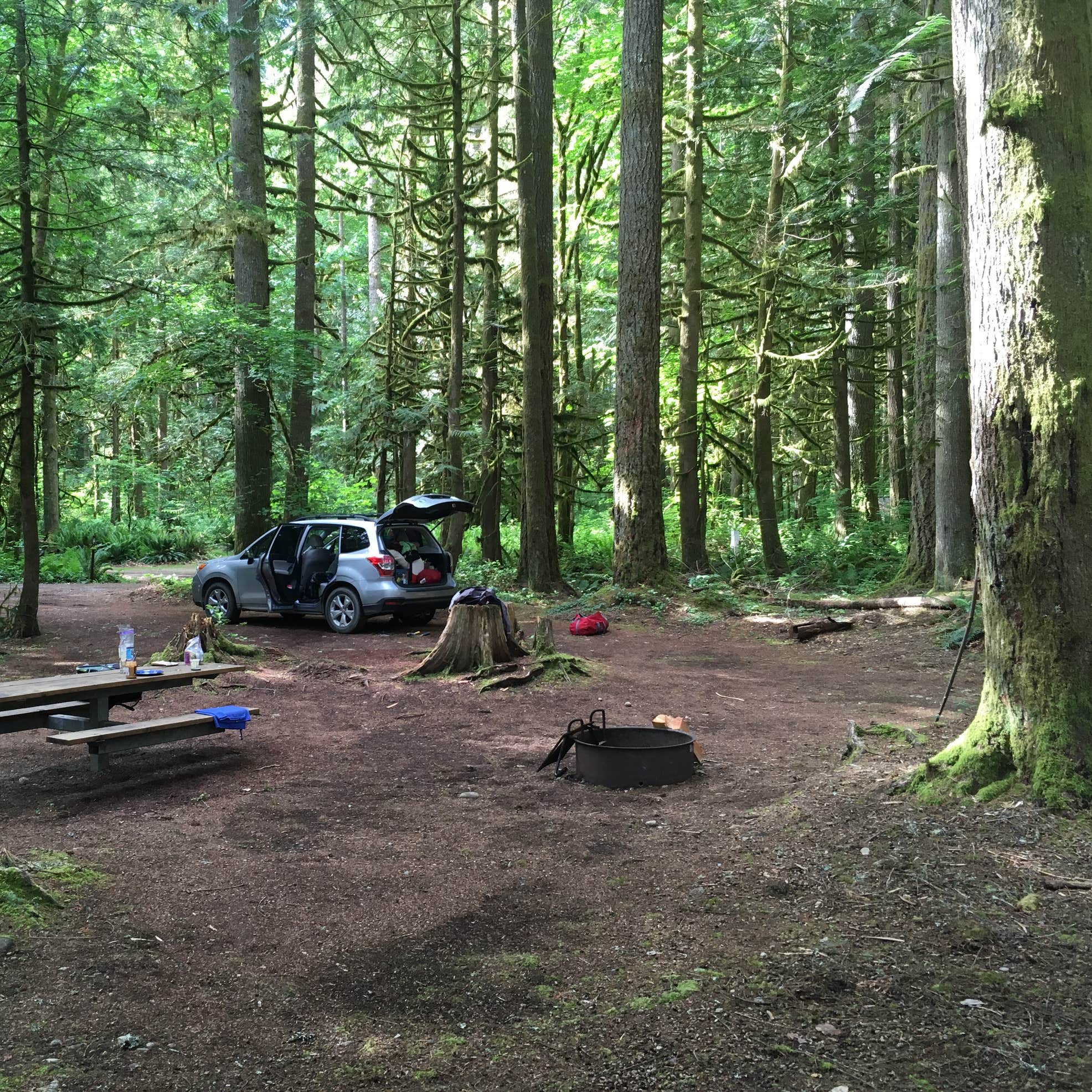 Squire Creek Park & Campground Camping The Dyrt