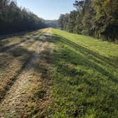 Review photo of Richard K. Yancy Sand Levee Campground by Tyler H., July 24, 2021