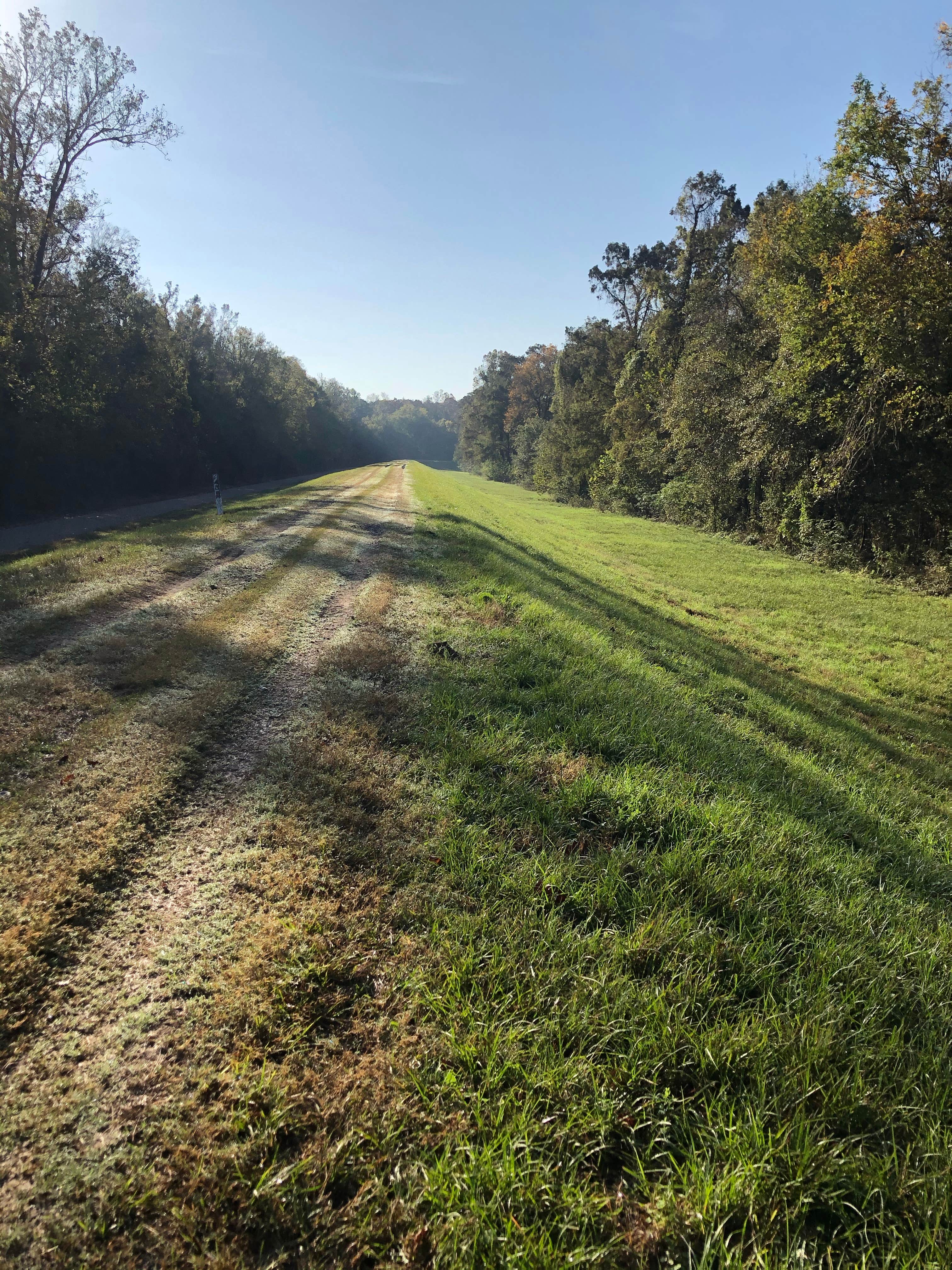 Camper submitted image from Richard K. Yancy Sand Levee Campground - 4