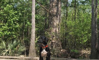 Tyler H.'s photo of camping with pets at Tickfaw State Park Campground near Denham Springs, LA