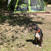 Review photo of Tickfaw State Park Campground by Tyler H., April 5, 2021