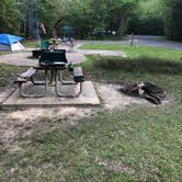 Review photo of Tickfaw State Park Campground by Tyler H., April 5, 2021