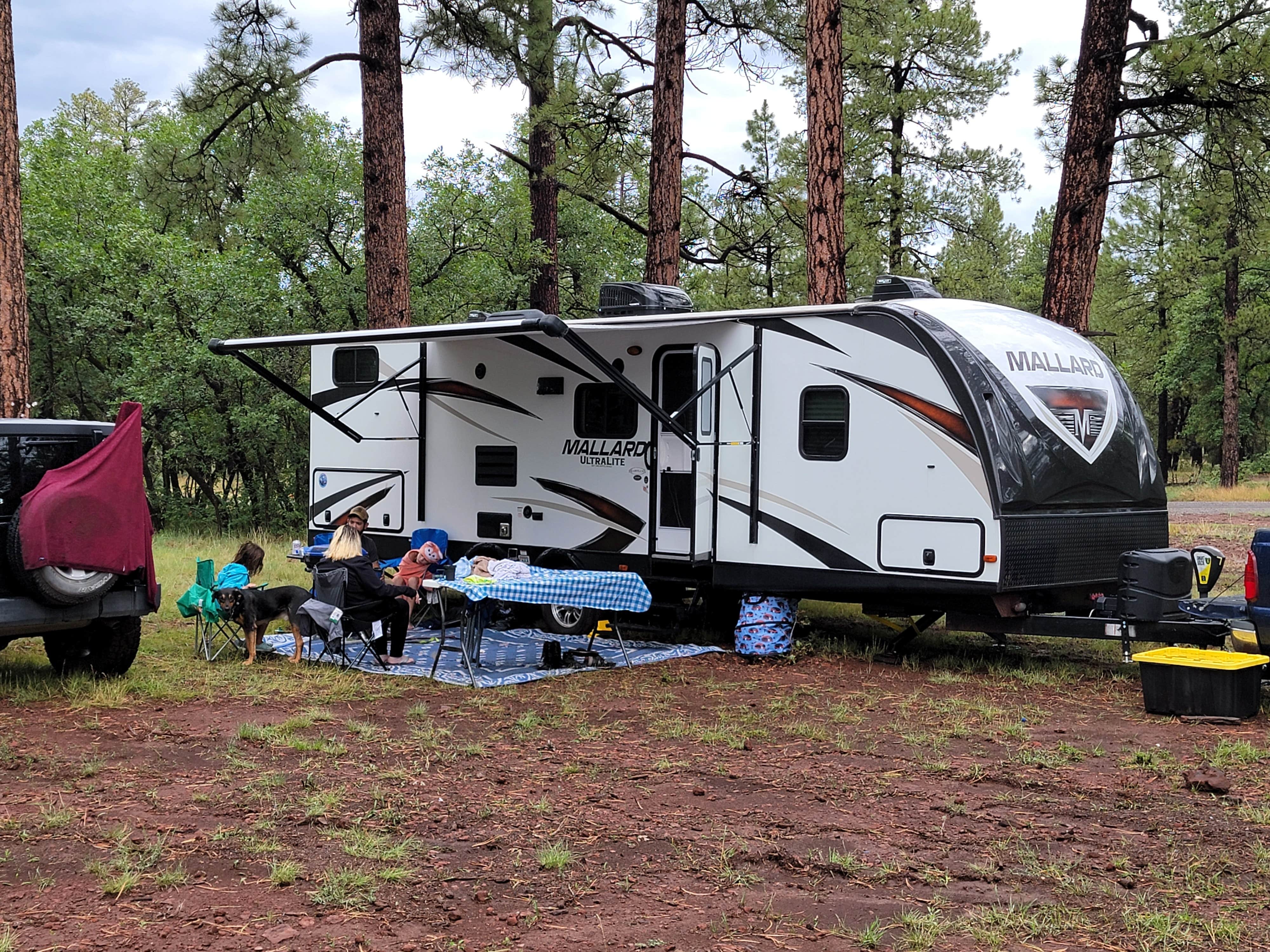 miles S.'s photo at Dogtown Lake Road Dispersed Camping near Williams, AZ