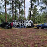 Review photo of Dogtown Lake Road Dispersed Camping by miles S., July 24, 2021