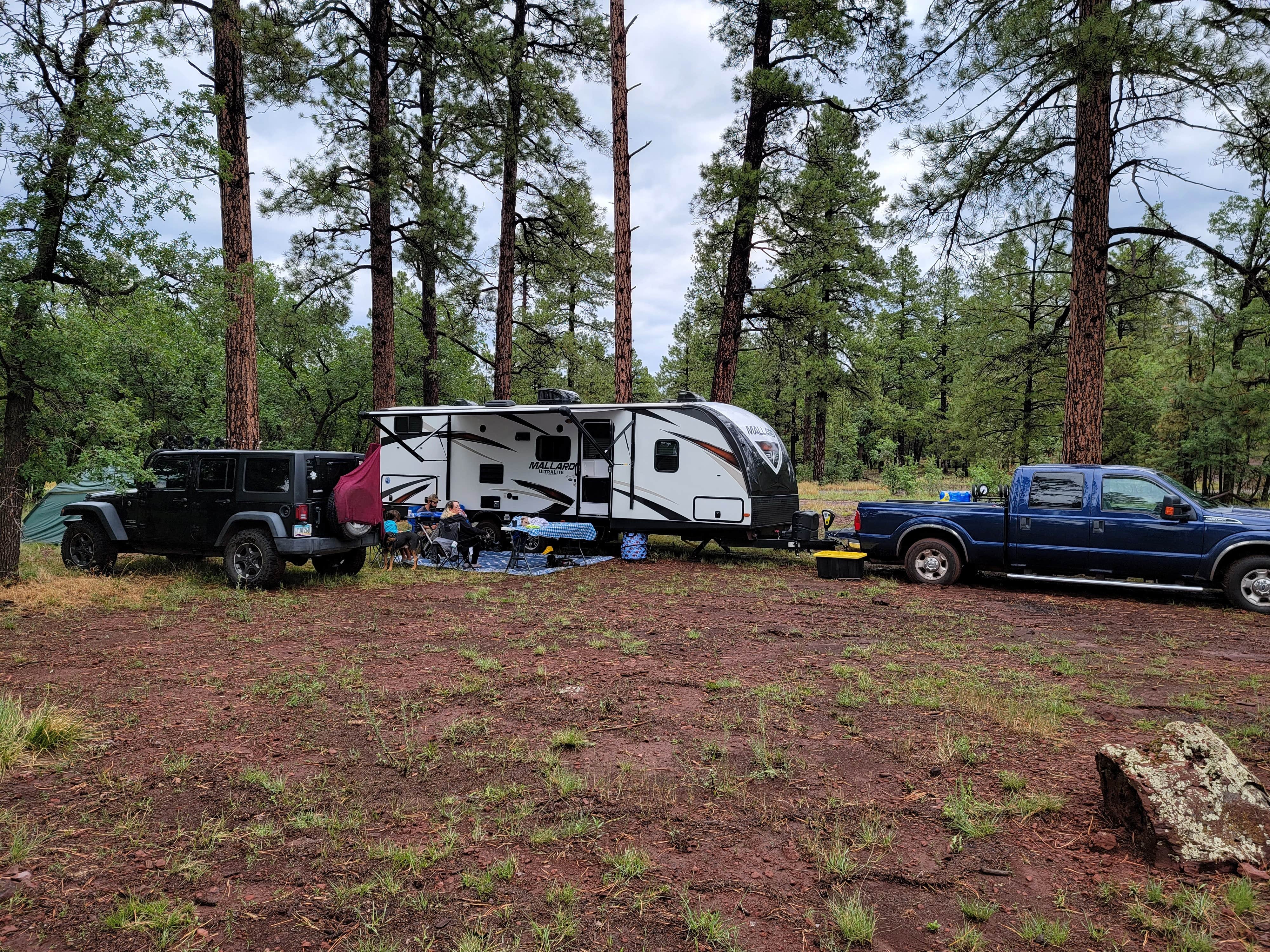 Camper submitted image from Dogtown Lake Road Dispersed Camping - 3