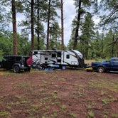 Review photo of Dogtown Lake Road Dispersed Camping by miles S., July 24, 2021