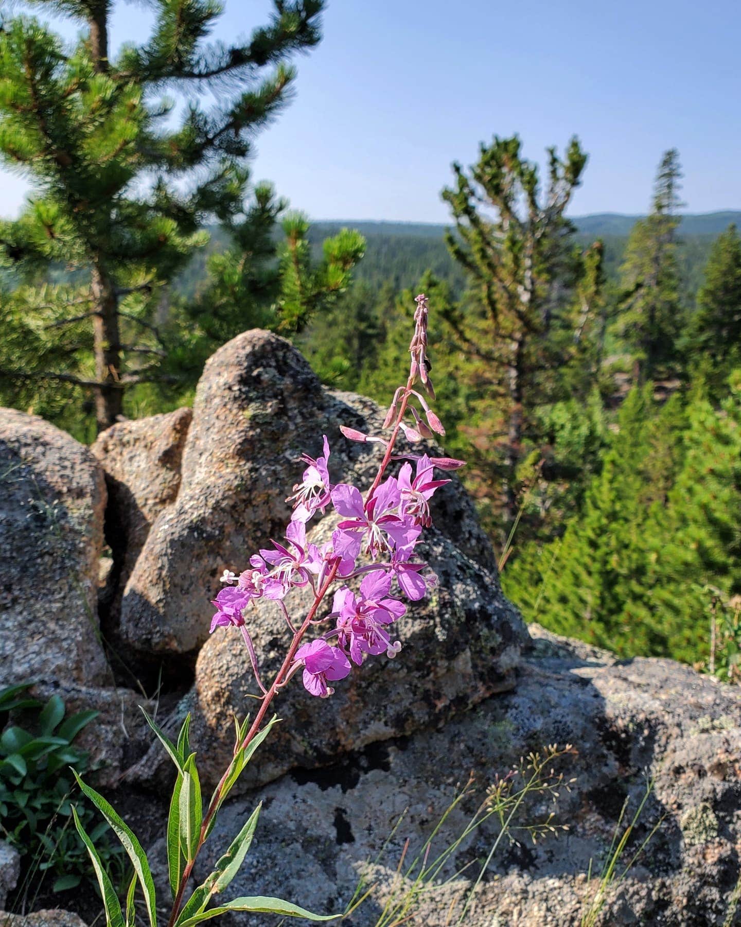 Beaver Park Reservoir The Dyrt