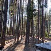 Review photo of Bumping Lake Campground by Kindra M., July 24, 2021