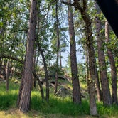Review photo of Spokane Creek Cabins & Campground by Carleen , July 24, 2021