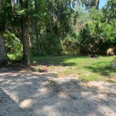 Review photo of Skidaway Island State Park Campground by Diana H., July 24, 2021