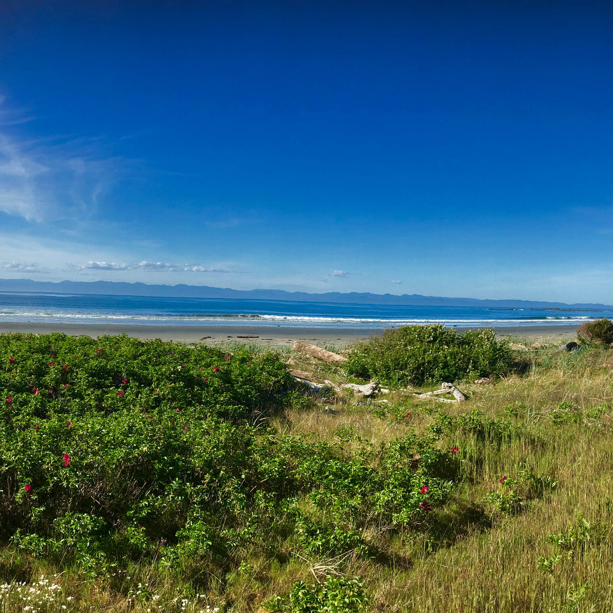 Salt Creek Recreation Area Camping The Dyrt