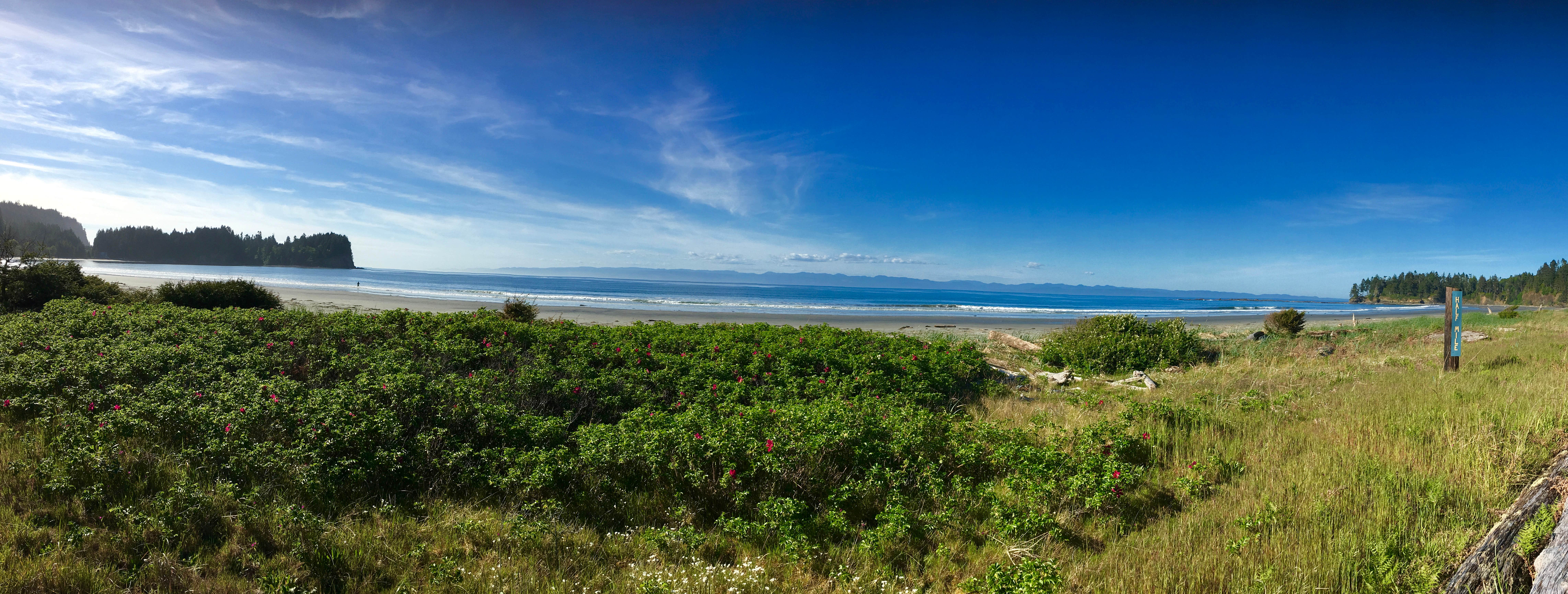 Camper submitted image from Salt Creek Recreation Area - 2