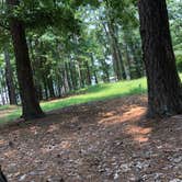 Review photo of Elijah Clark State Park Campground by Parker T., July 24, 2021