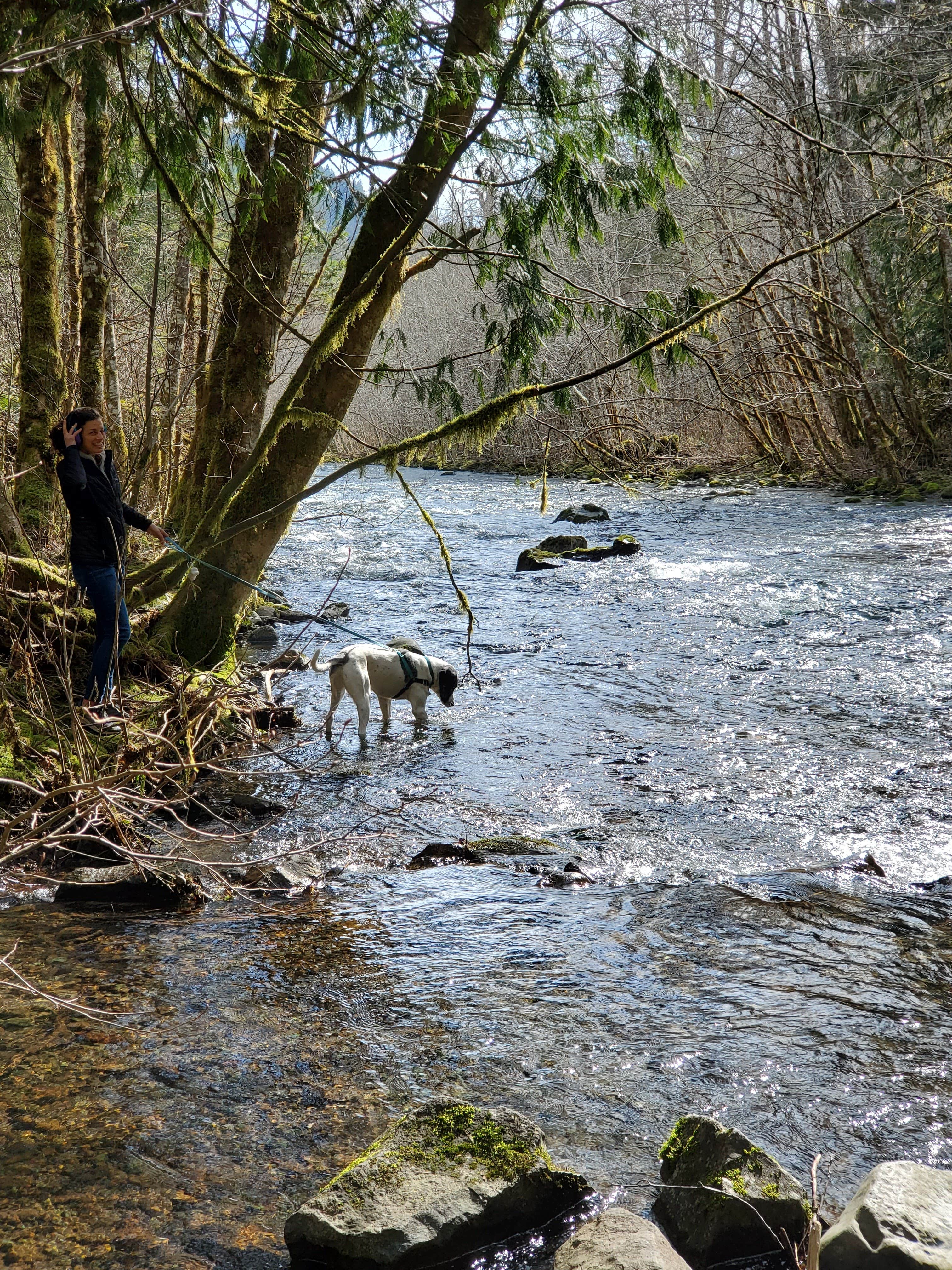 Paula G.'s photo of camping with pets at Panther Creek Campground near Cascade Locks, OR