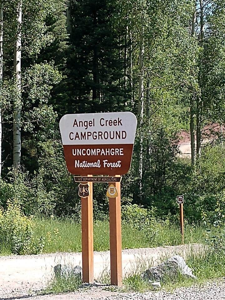 Camper submitted image from Angel Creek Campground - 5