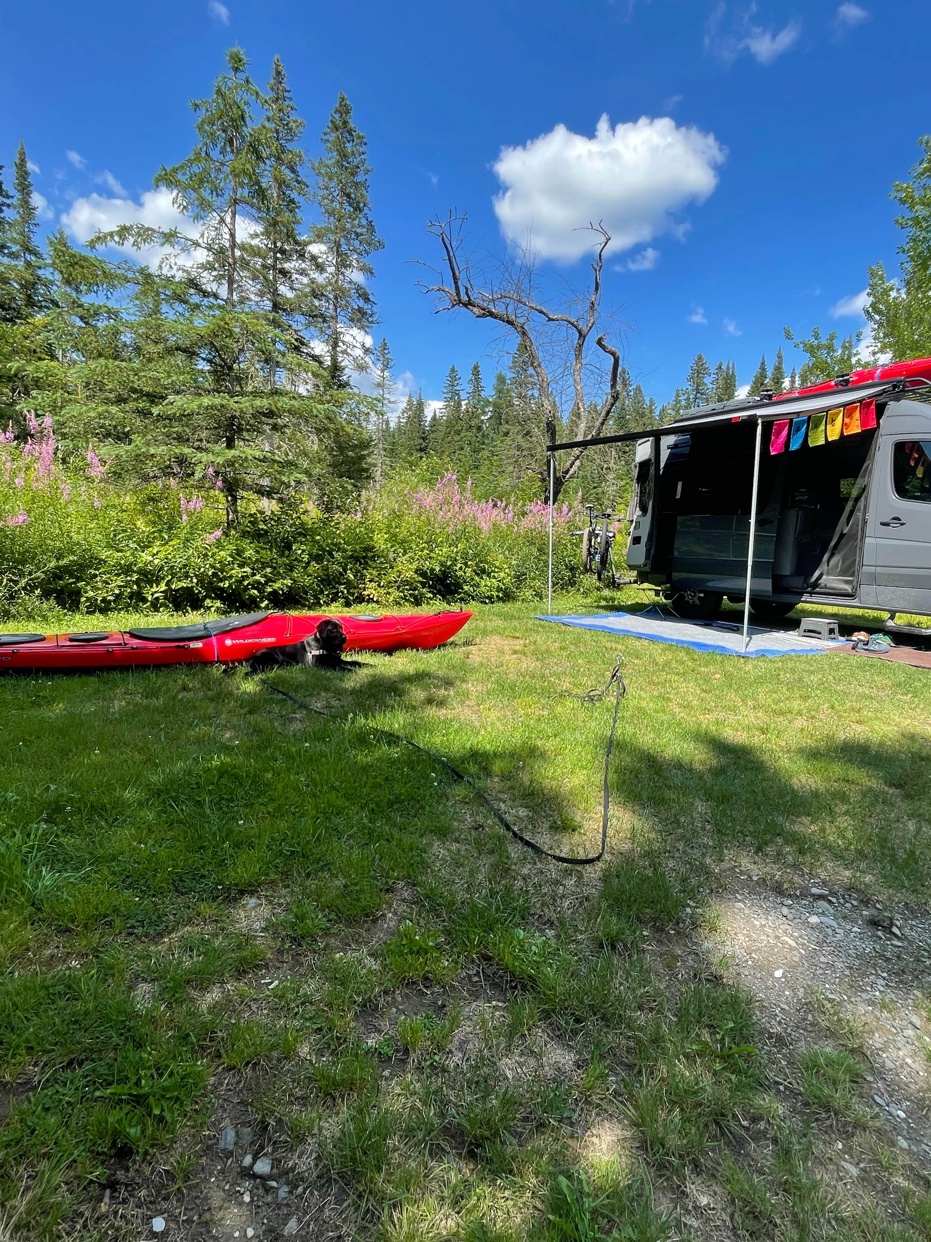 Dana M.'s photo of rv camping at Lake Francis State Park Campground near Rangeley, ME