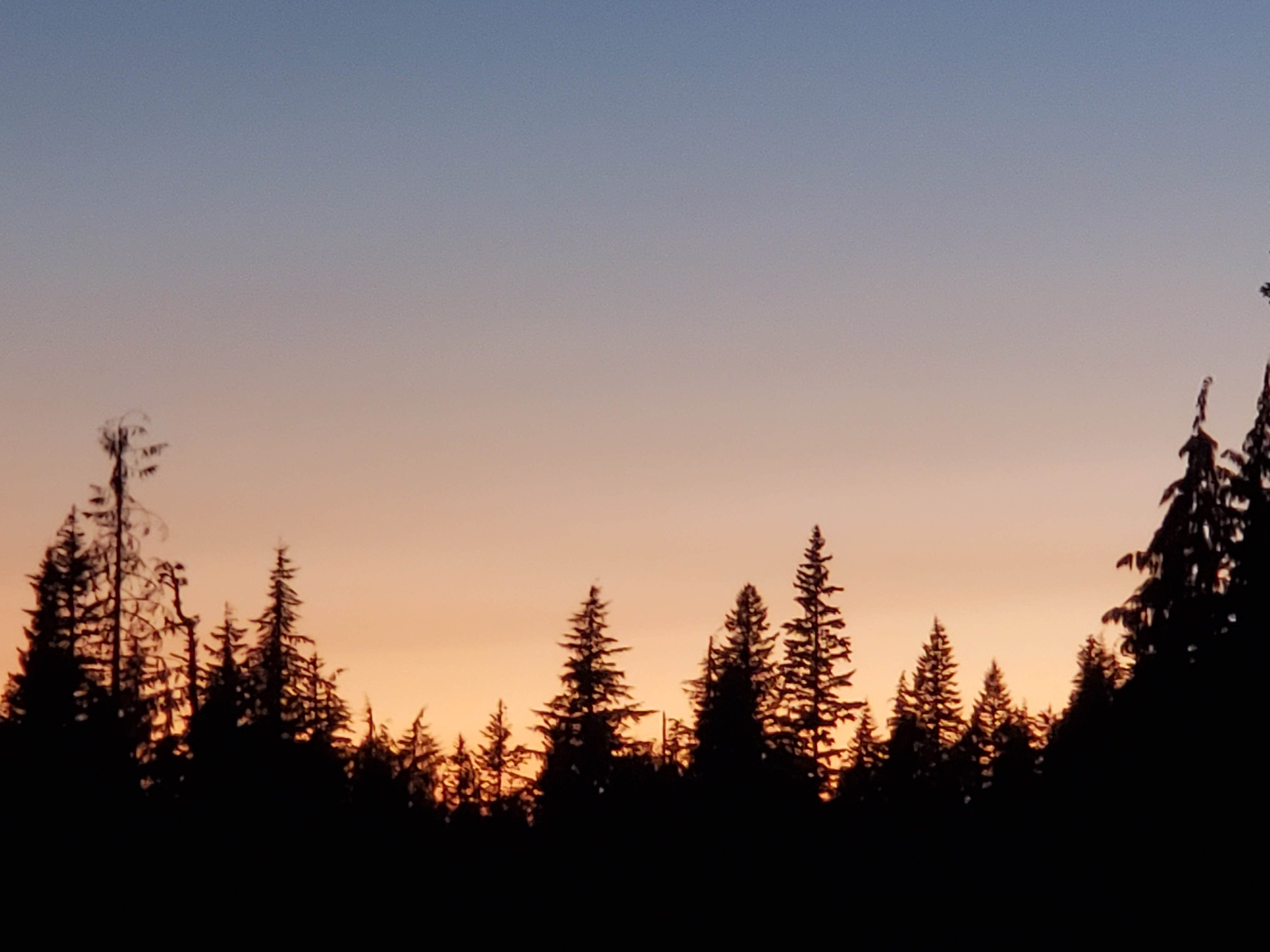 Paula G.'s photo of a dispersed camping area at Mirror Lake near Brightwood, OR
