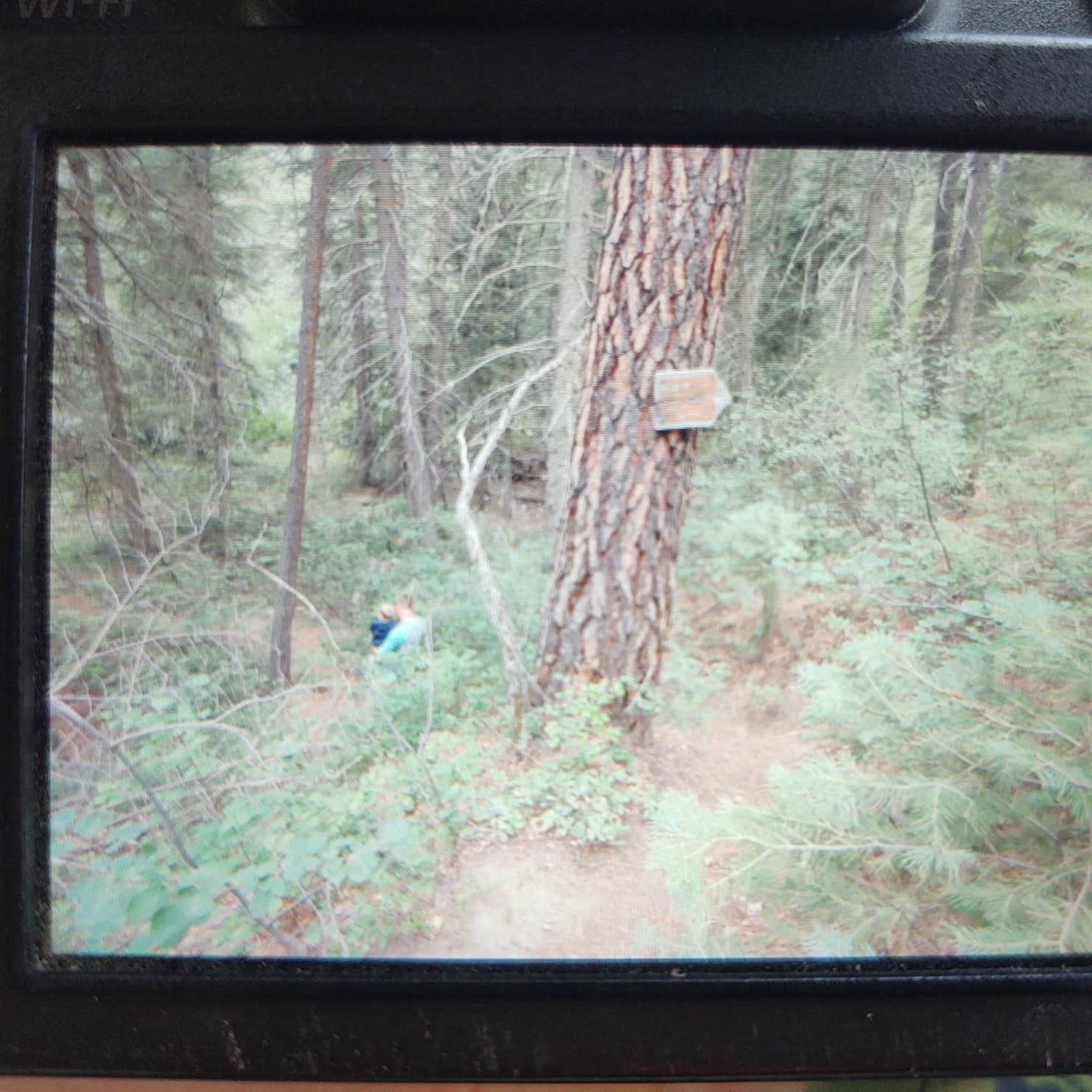East Fork Campground Pagosa Springs, CO