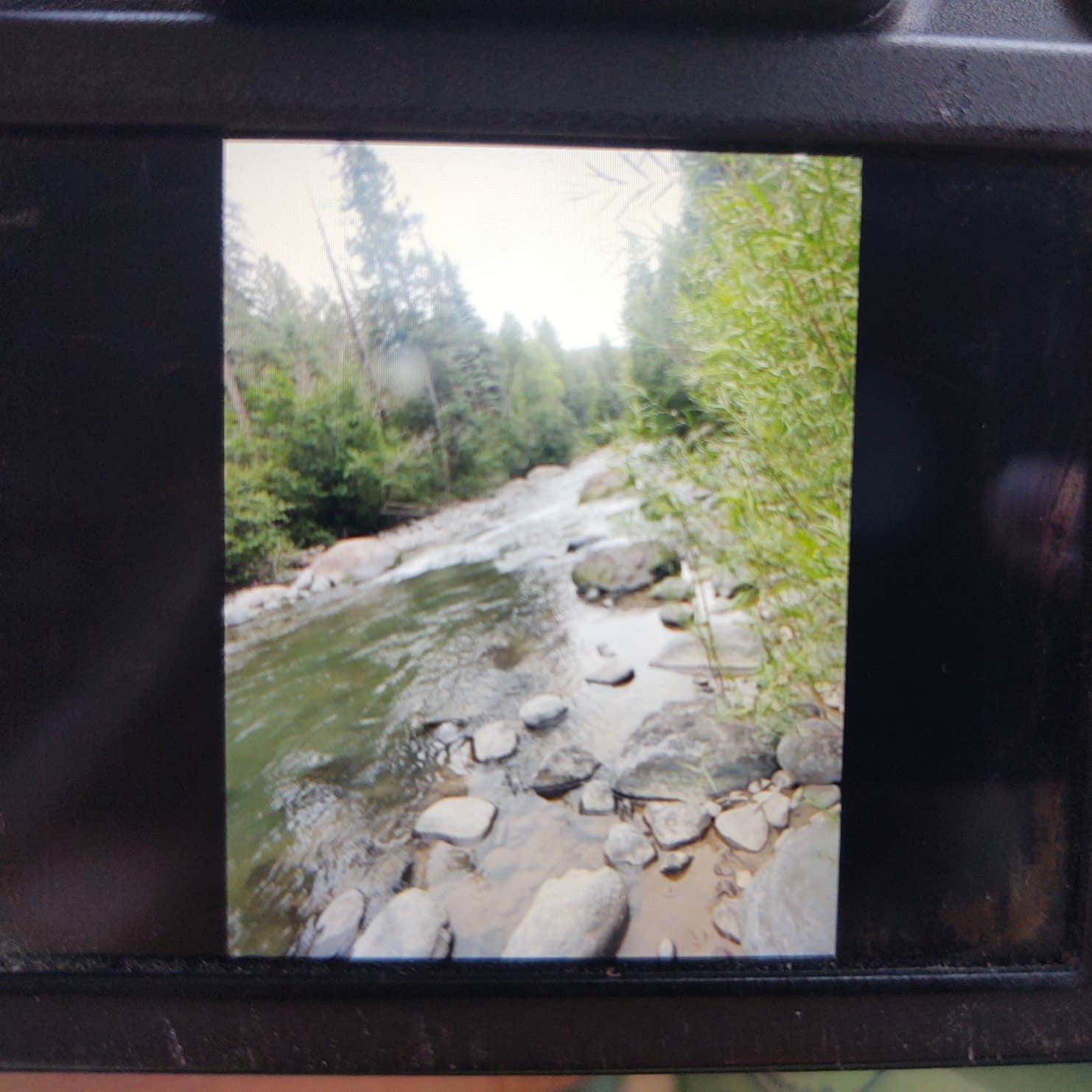 East Fork Campground Pagosa Springs, CO