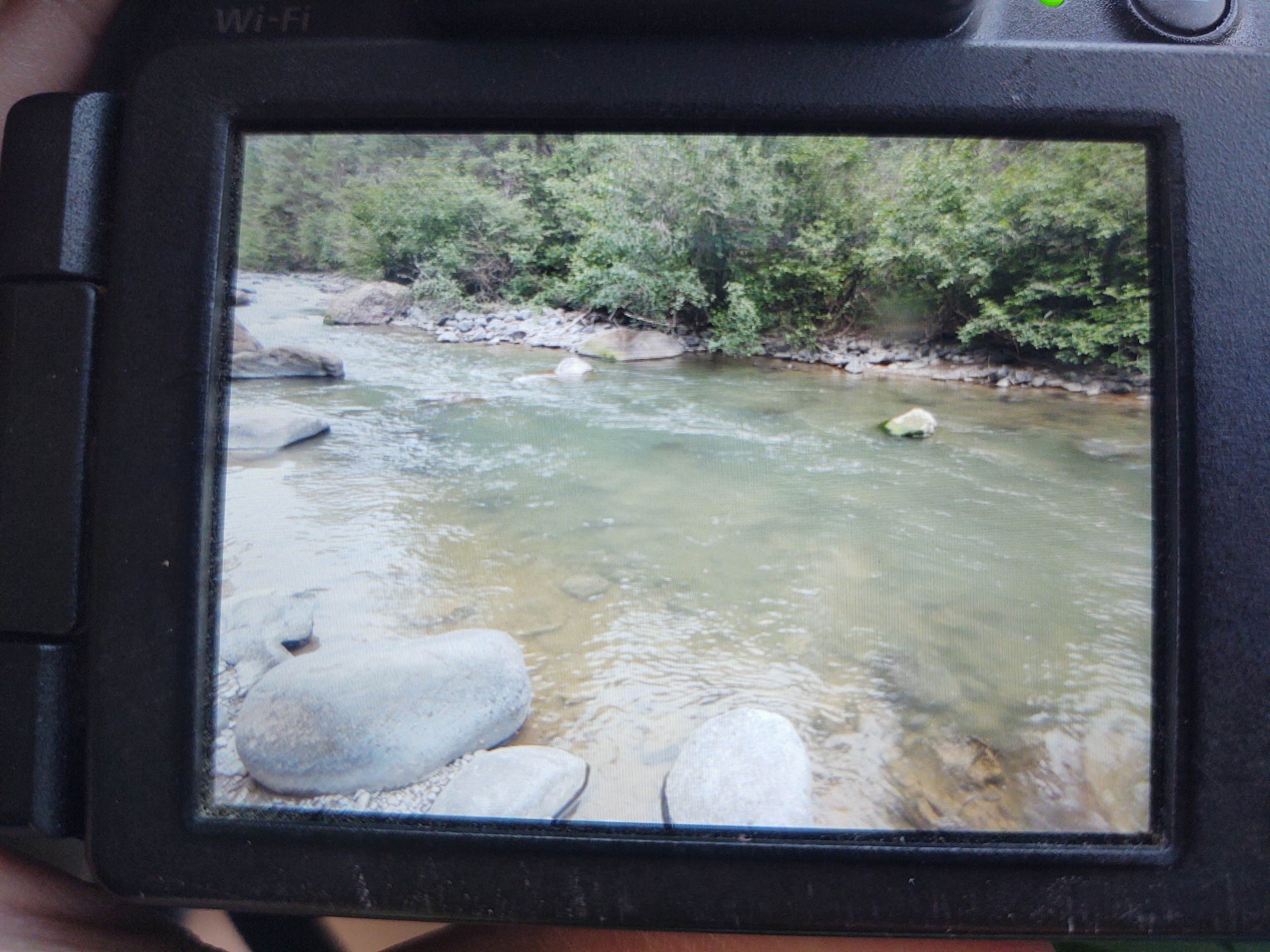 Pagosa Riverside Campground The Dyrt