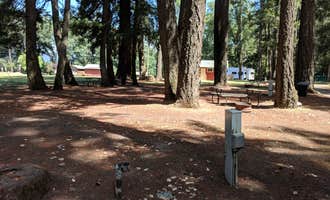 Camping near Cedar Bloom: Smoke on the Water, Selma, Oregon