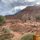 Review photo of South Campground — Zion National Park by Lauren M., July 24, 2021