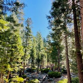 Review photo of D.L. Bliss State Park Campground by Shoshana , July 24, 2021