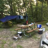 Review photo of Atsion Family Camp — Wharton State Forest by Steve , July 24, 2021