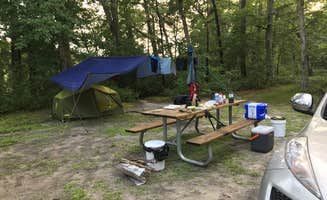 Steve's photo at Atsion Family Camp — Wharton State Forest near Grenloch, NJ