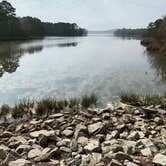 Review photo of Lake Wateree State Park Campground by Claire O., July 24, 2021