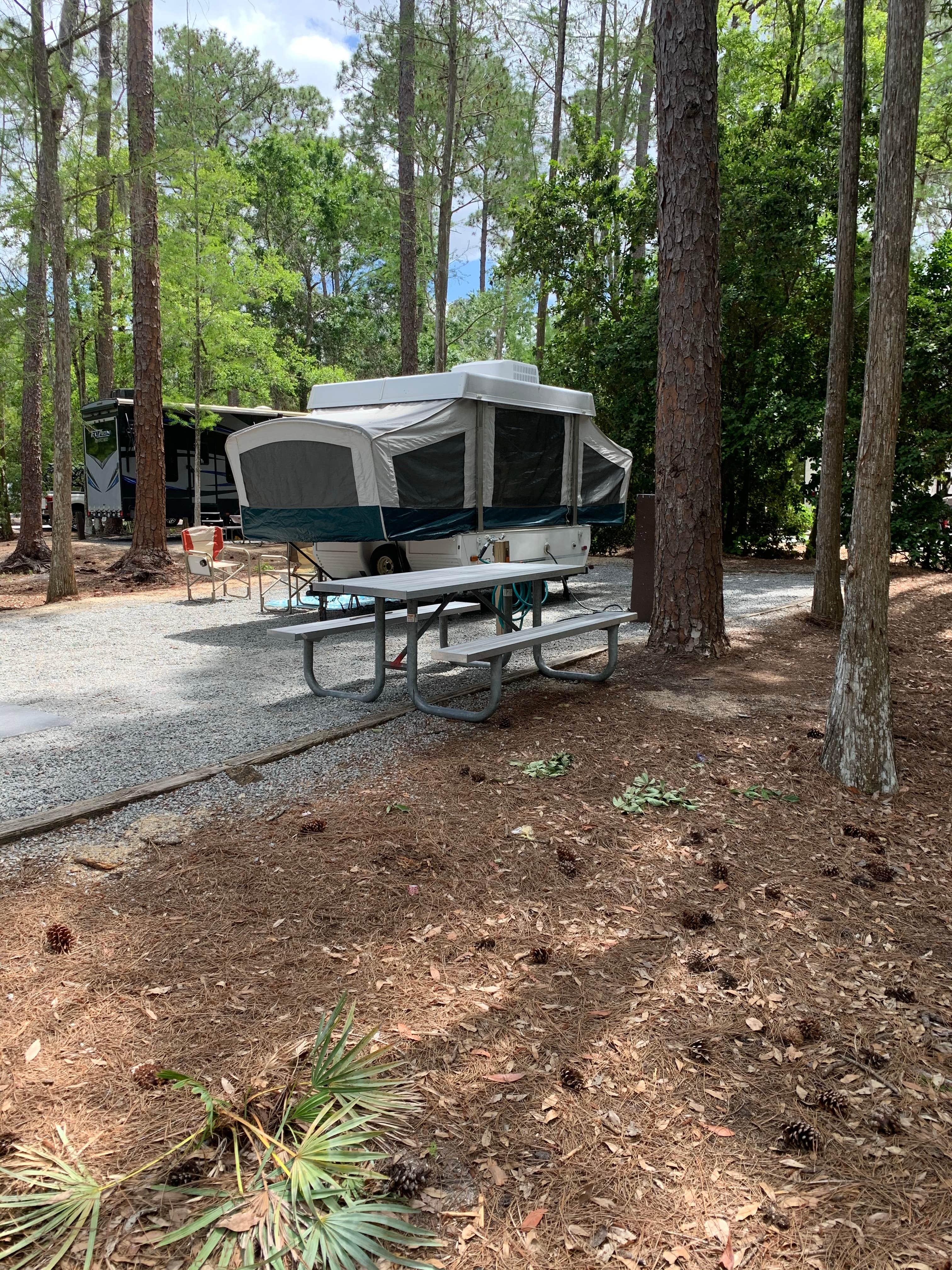 Claire O.'s photo at Disney’s Fort Wilderness Resort & Campground near Haines City, FL