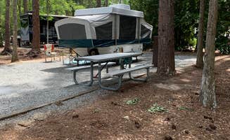 Claire O.'s photo at Disney’s Fort Wilderness Resort & Campground near Killarney, FL