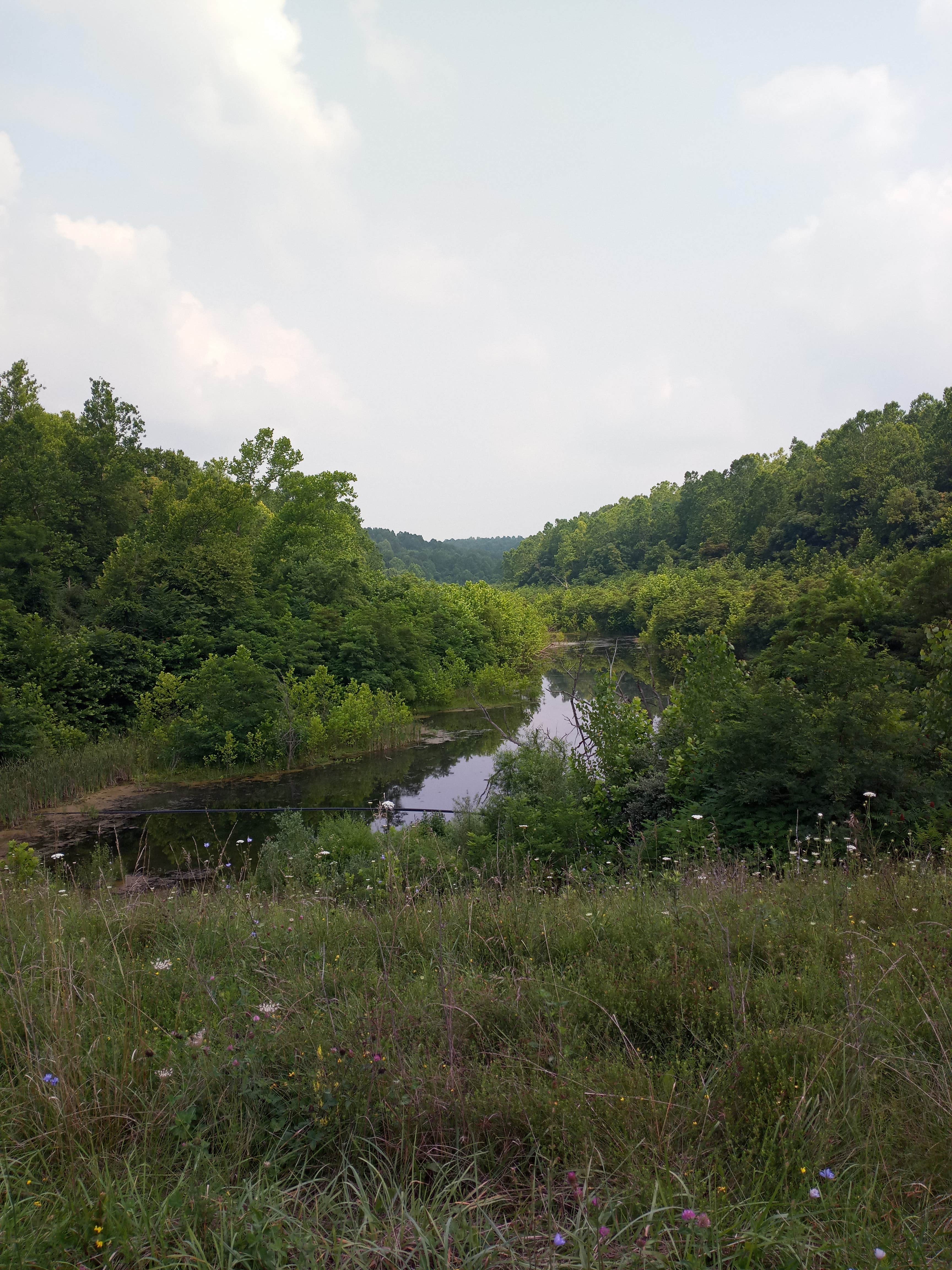 Camper submitted image from Sand Hollow (Campground C) — Jesse Owens State Park - 1