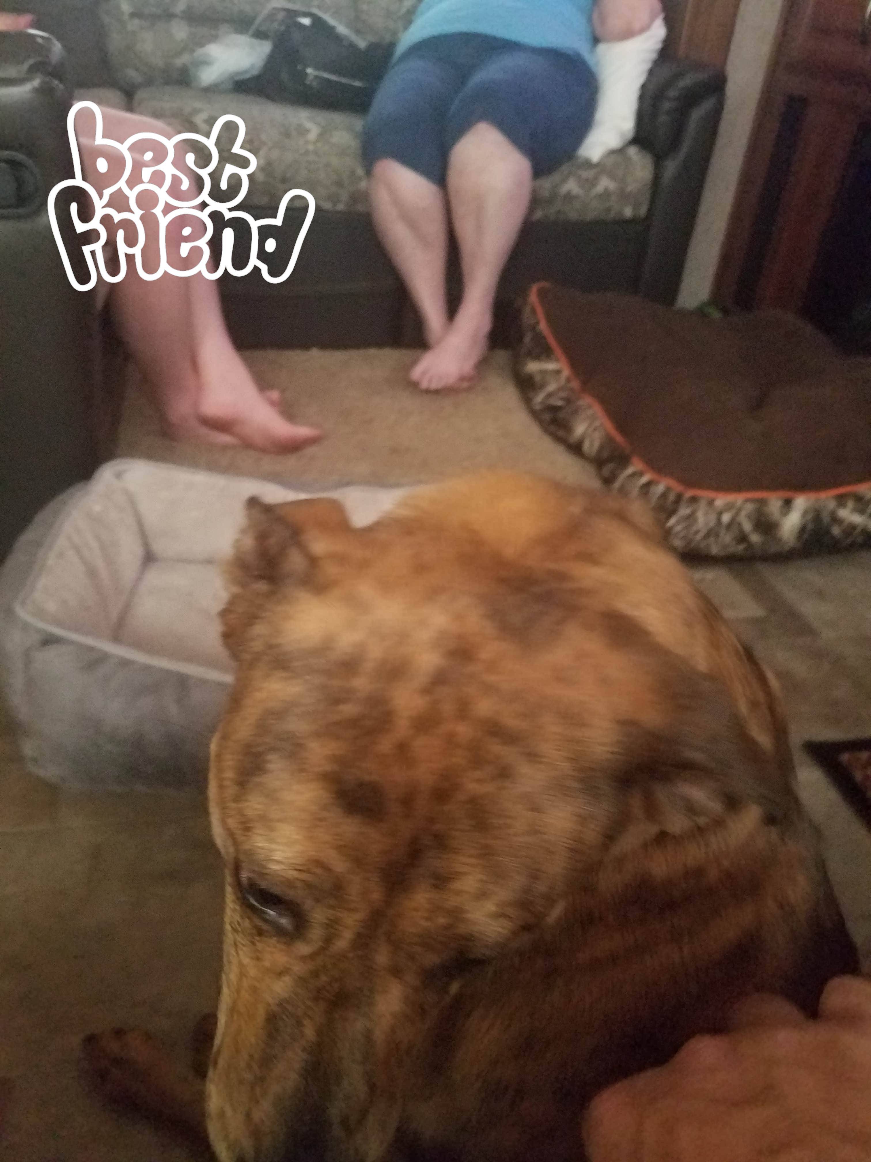 Camper-submitted photo at Little Tallapoosa Park near Douglasville, GA