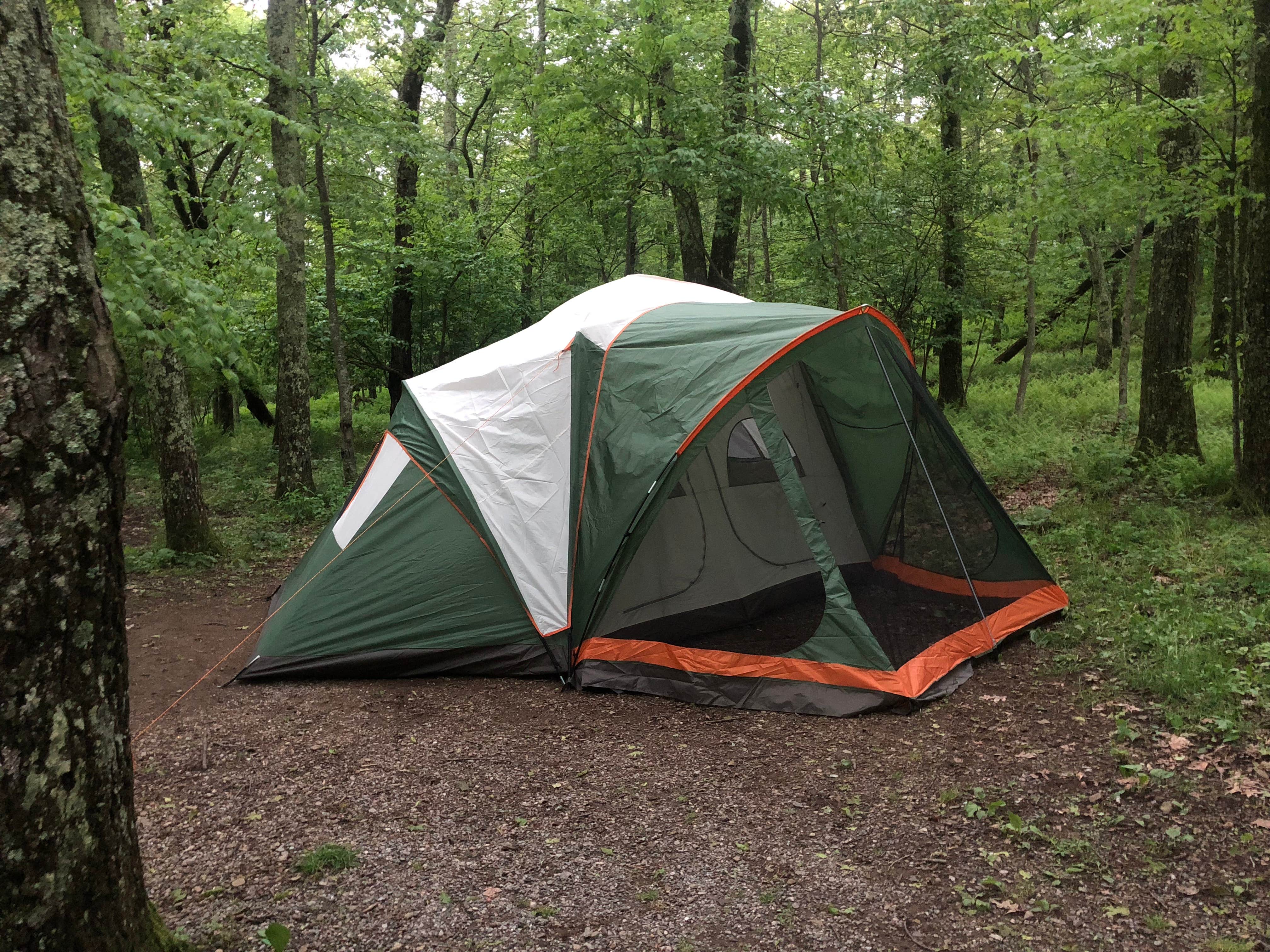 Lexa L.'s photo at Lewis Mountain Campground — Shenandoah National Park near Dyke, VA