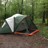 Review photo of Lewis Mountain Campground — Shenandoah National Park by Lexa L., June 16, 2018