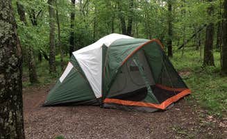 Lexa L.'s photo at Lewis Mountain Campground — Shenandoah National Park near Shenandoah National Park