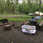 Review photo of Lewis Mountain Campground — Shenandoah National Park by Lexa L., June 16, 2018