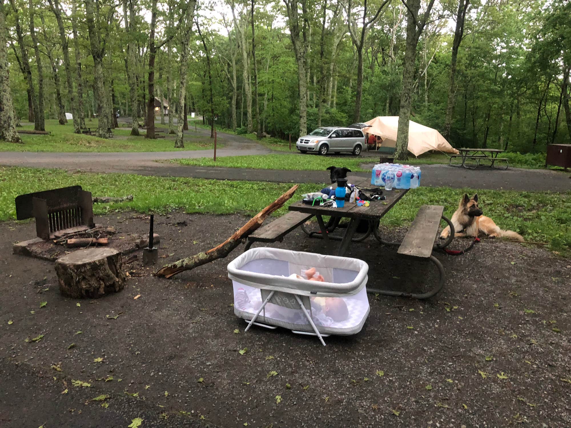 Lewis Mountain Campground in Shenandoah National Park, Virginia